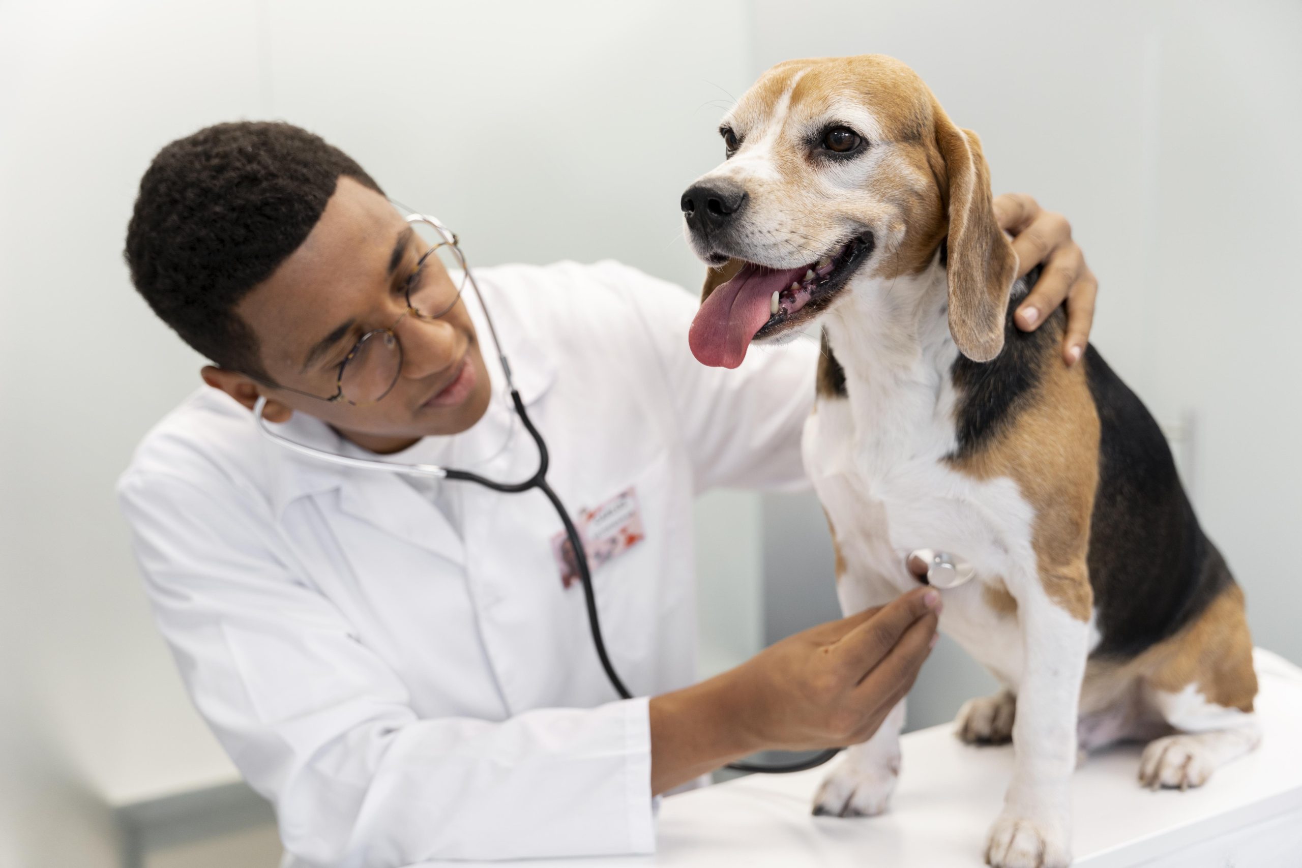 Les réformes en cours à la CARPV : ce qui change pour les vétérinaires